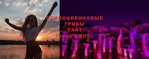 экстази Новодвинск