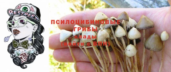 экстази Новодвинск