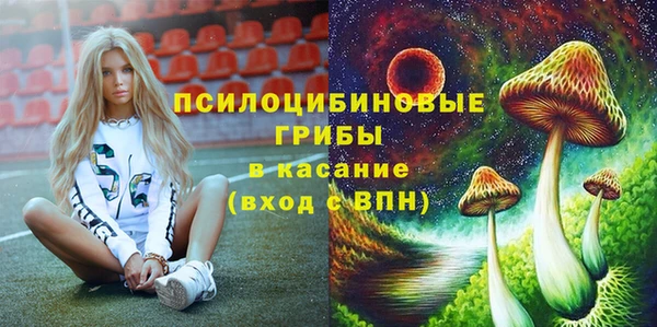 ALPHA-PVP Новозыбков